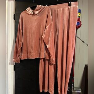 New York & Company Blush Velvet Set